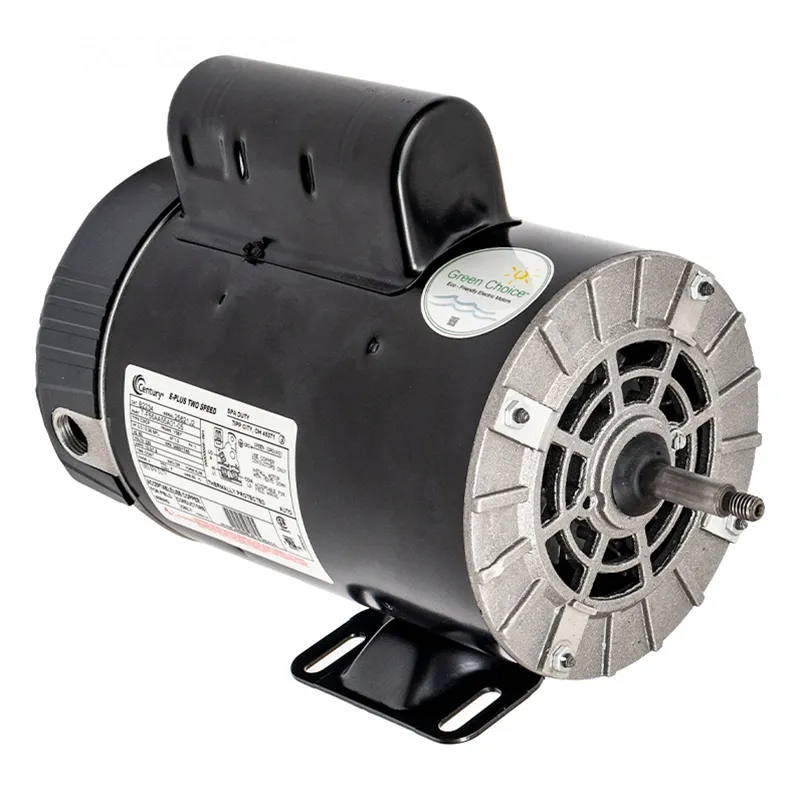 3HP 2 Speed Spa Pump Motor 56 Frame