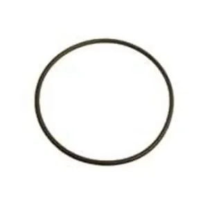 Blue Torrent Filter Tank O-ring