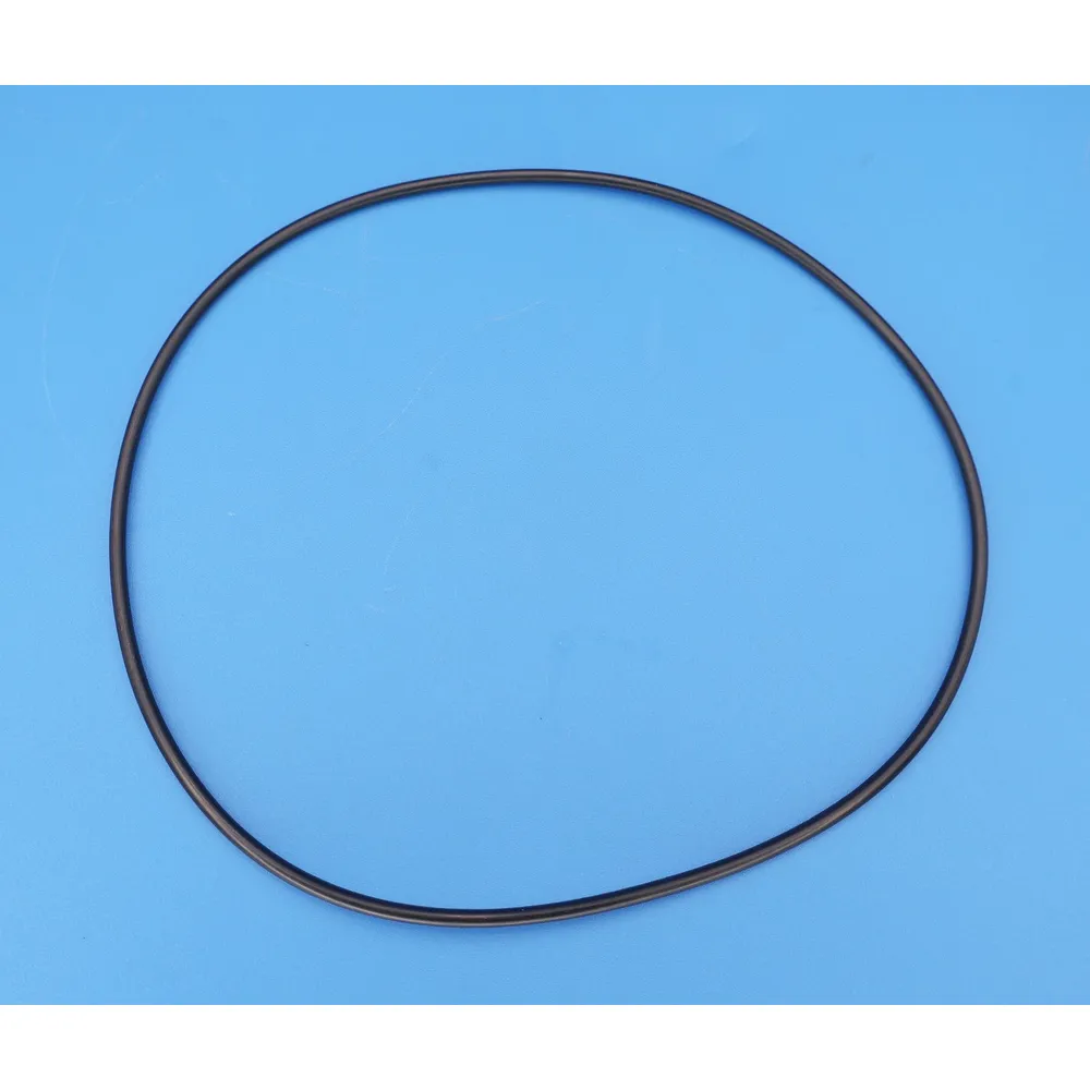 Caretaker (Jandy Zodiac) O-Ring (Single Large O-Ring Only) 1-13-1