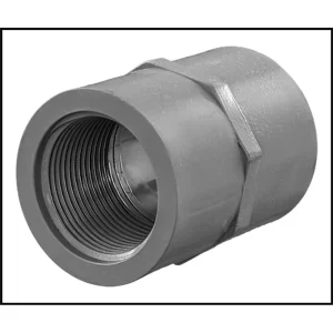 FEMALE ADAPTOR CPVC 1-1/4″ #9835-012