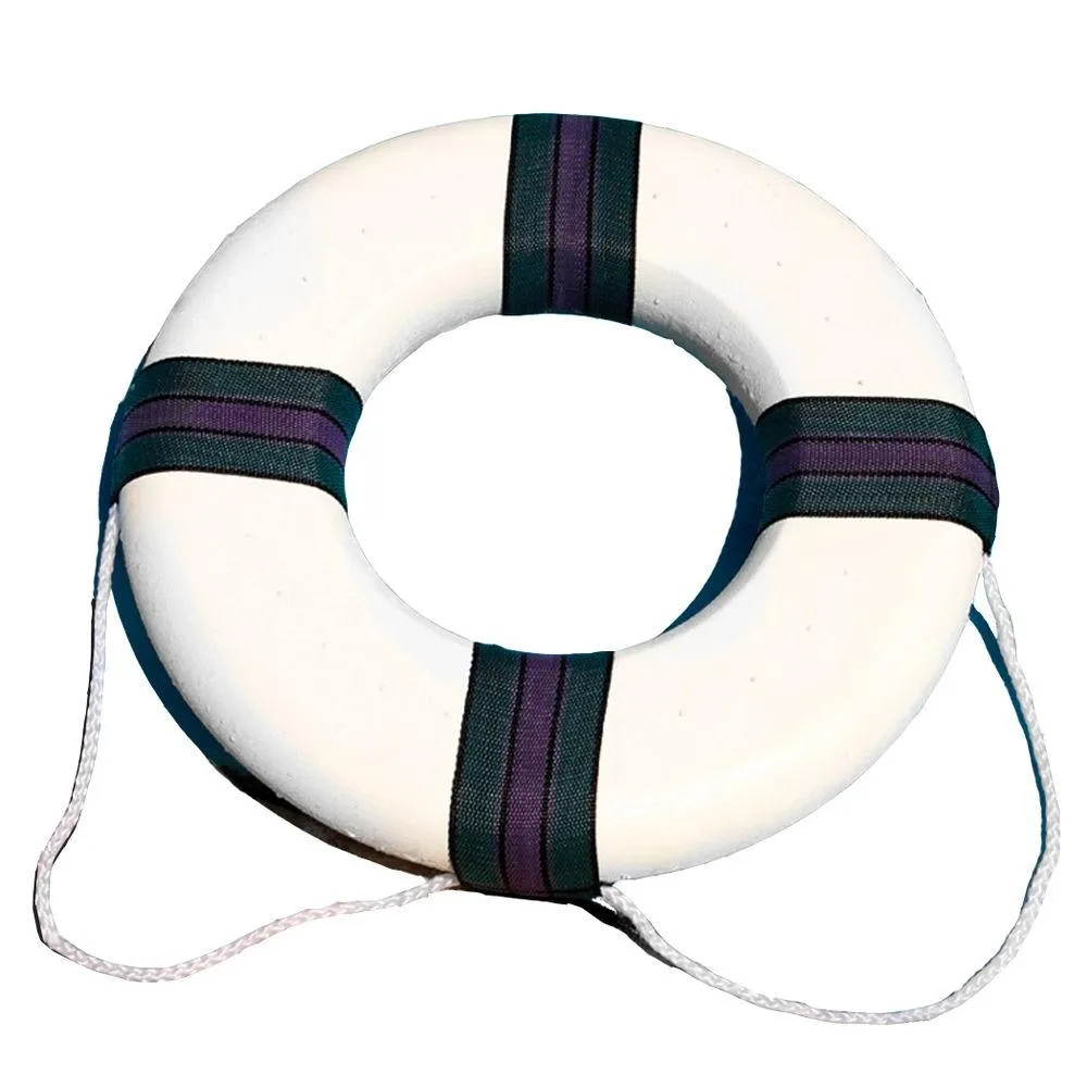 Foam Ring Buoy – 89870