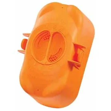 FROG Flippin’ FROG XL Replacement Chlorine Cartridge