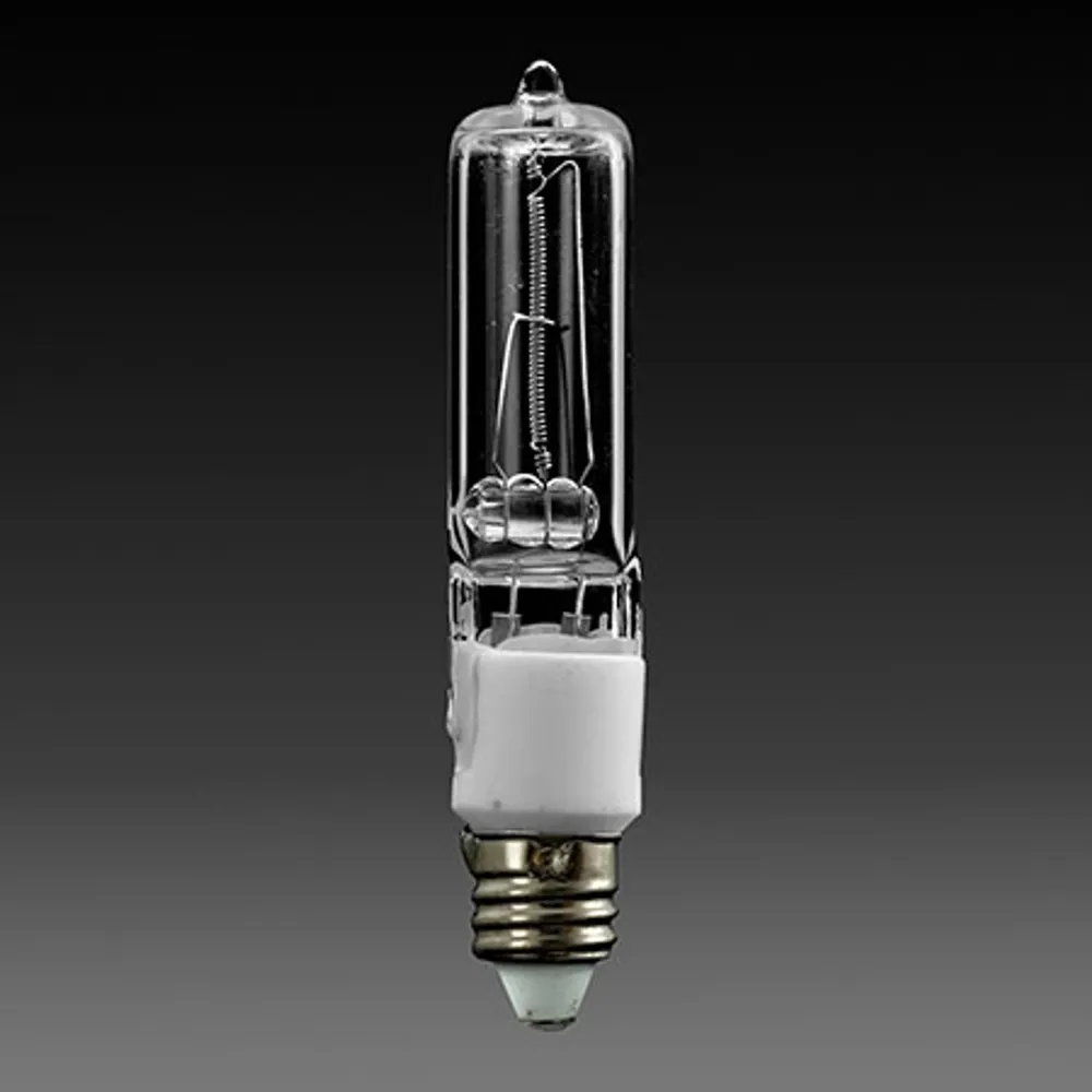 Hayward 100W 120V Halogen Hayward AstroLite II Bulb (#SPX0591H)