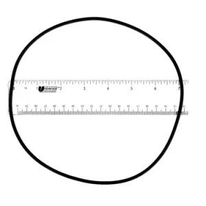 Hayward 6060 Booster Pump Seal Plate O-Ring