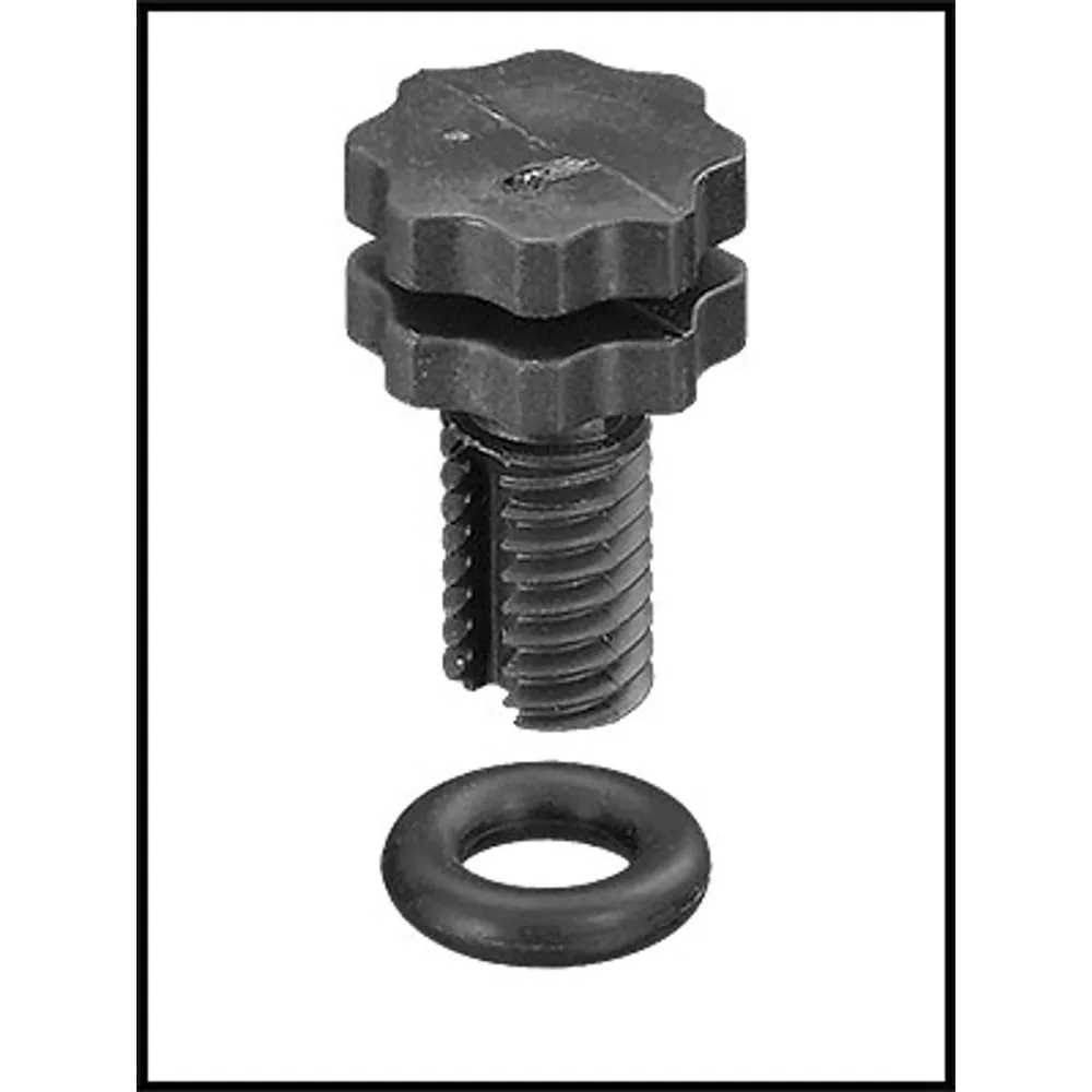 Hayward Air Relief Valve With O-Ring For ReGenX Filters (#ECX1322A)