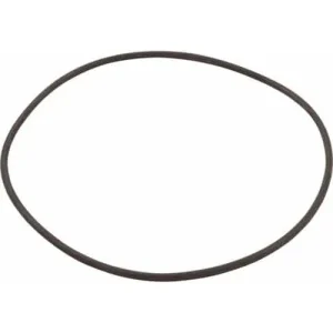 Hayward CXFHR1001 O-Ring for Filter Head
