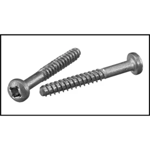Hayward Diffuser Screws (2 Pack) (#SPX3200Z8)