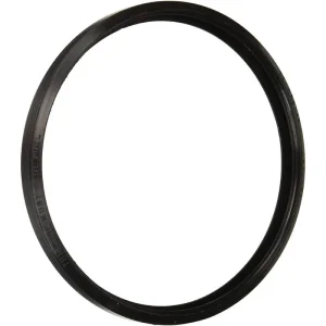 Hayward Duralite Light Lens Gasket