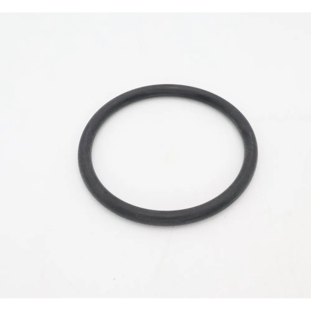 Hayward EcoStar/TriStar Diffuser O-Ring SPX4000Z1