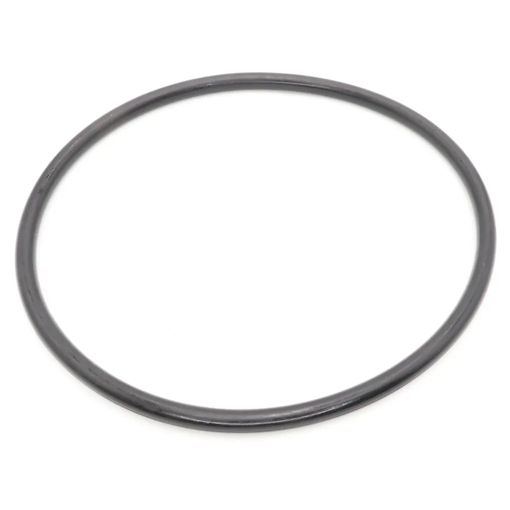 Hayward EcoStar/TriStar Strainer Cover O-Ring SPX3200S