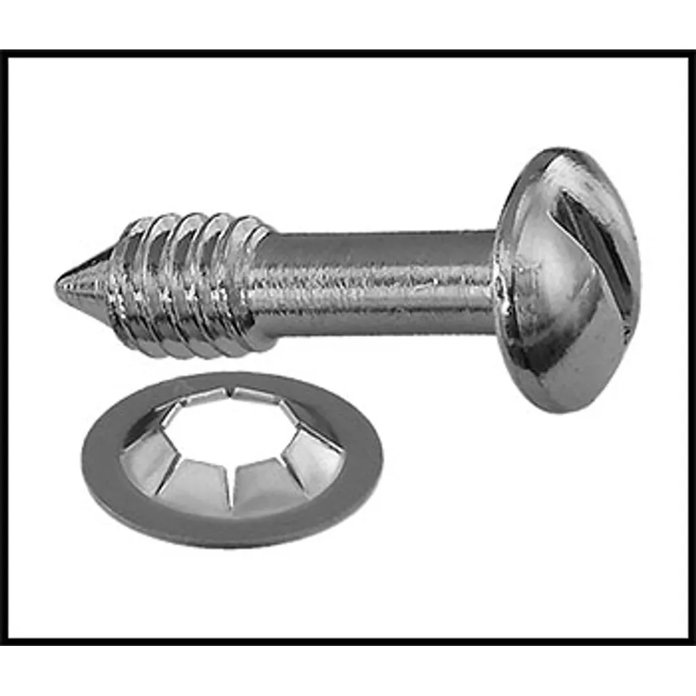 Hayward Face Rim Lockscrew With Washer (#SPX0503Z20A)