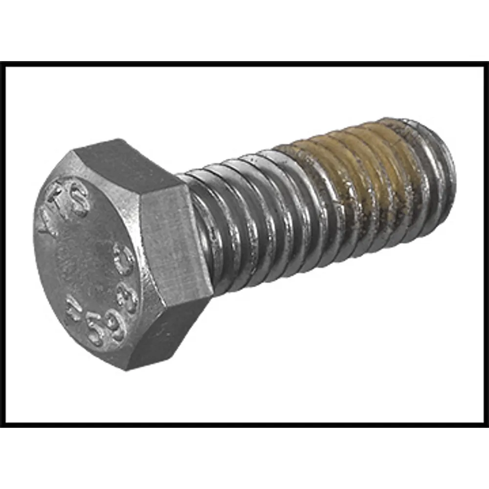 Hayward Motor Bolt For TriStar Pumps (#SPX3200Z5)