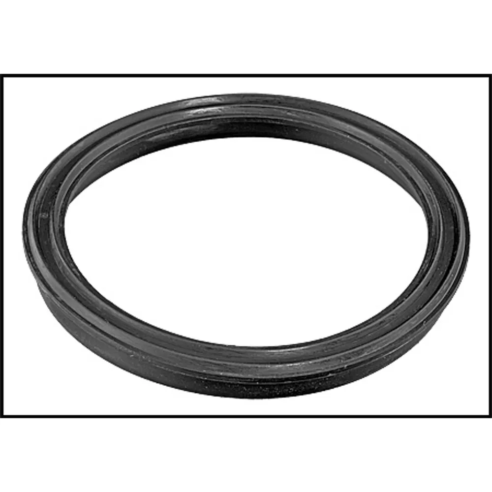 Hayward NorthStar Pump Union Gasket (2 Pack) (#SPX3200UG)