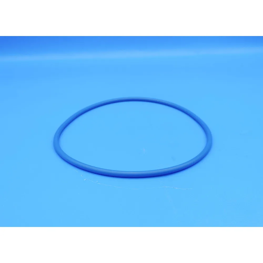 Hayward Pro Series & Pro Series Plus Valve O-Ring GMX600F