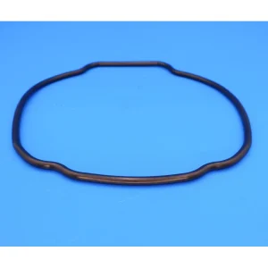 Hayward Replacement O-ring for EcoStar/TriStar Pump Housing (Seal Plate) SPX3200T