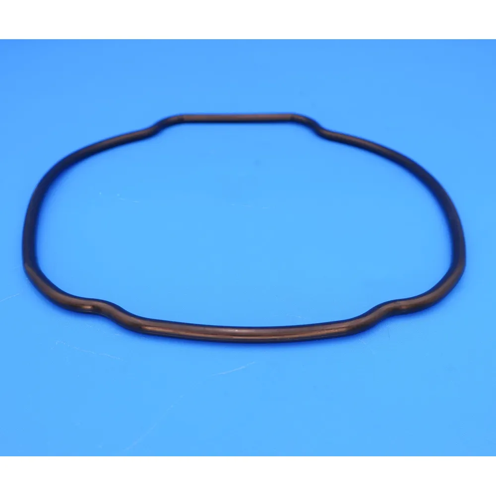 Hayward Replacement O-ring for EcoStar/TriStar Pump Housing (Seal Plate) SPX3200T