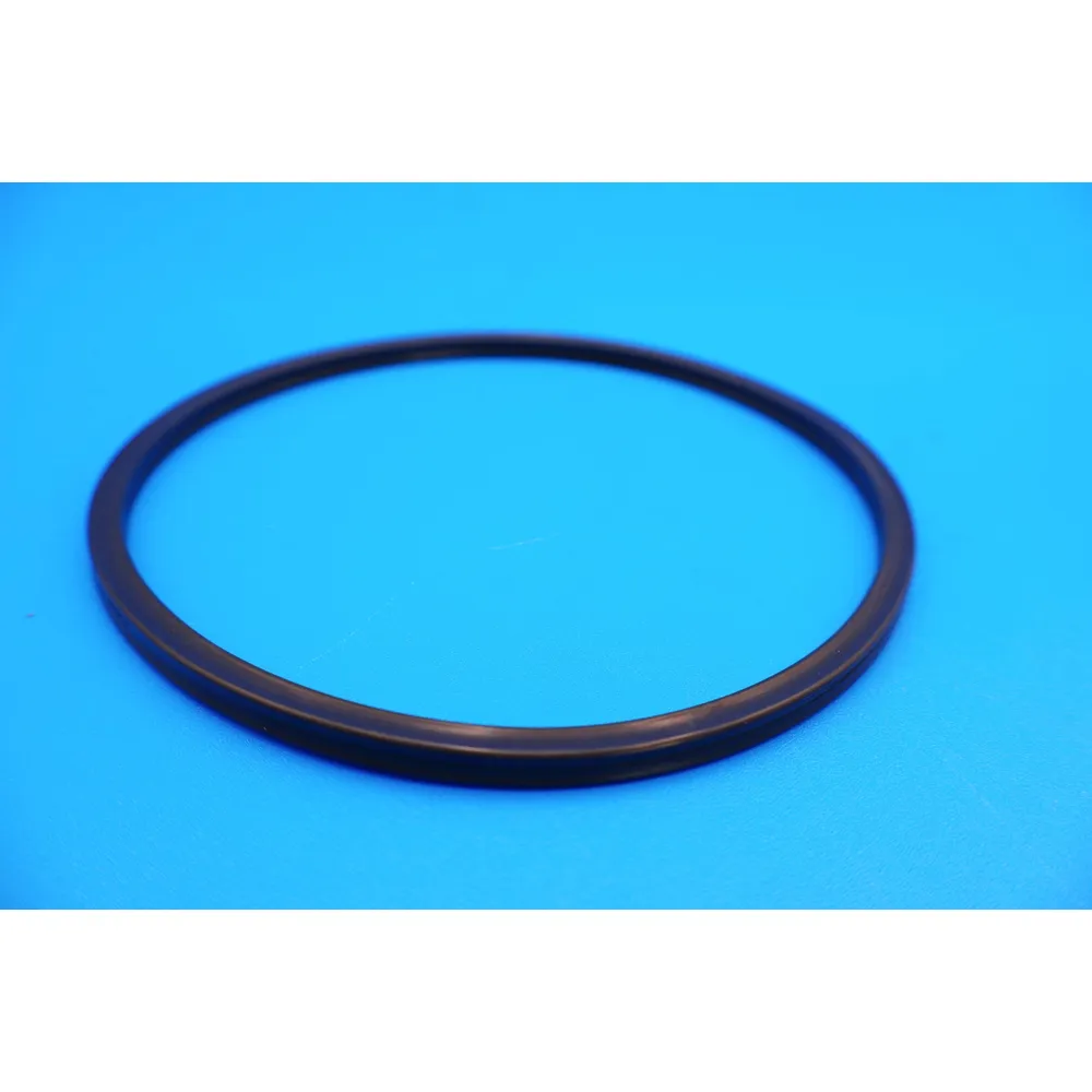 Hayward Special Composition Viton O-Ring for CL200/CL220 Chlorine Feeders CLX200K