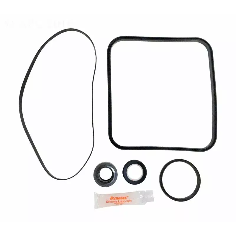 Hayward Super Pump Go Kit