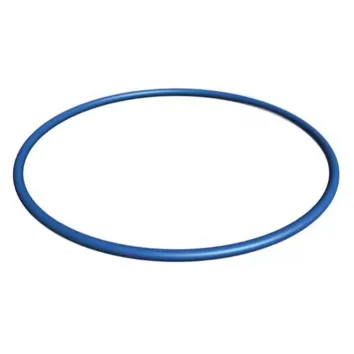 Hayward Valve/Tank O-Ring