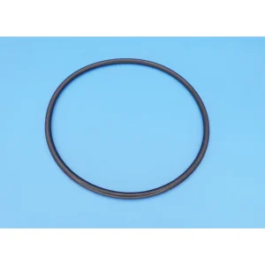 Hayward W530/W560 Leaf Canister O-Ring AXW542