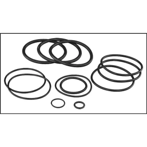 Jandy Filter O-Ring Replacement Kit (#R0358000)
