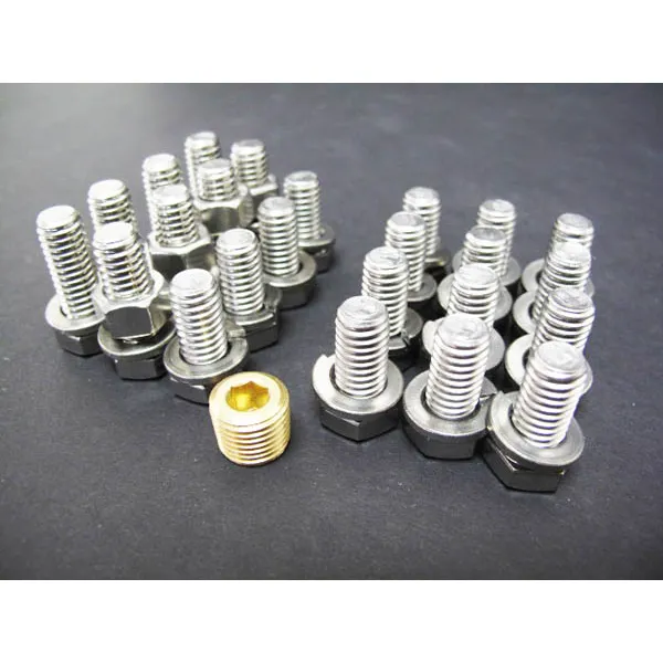Martin 500 Series Bolt Kit 3/8 -16×3/4 S.S. Qty. 20 V40-555