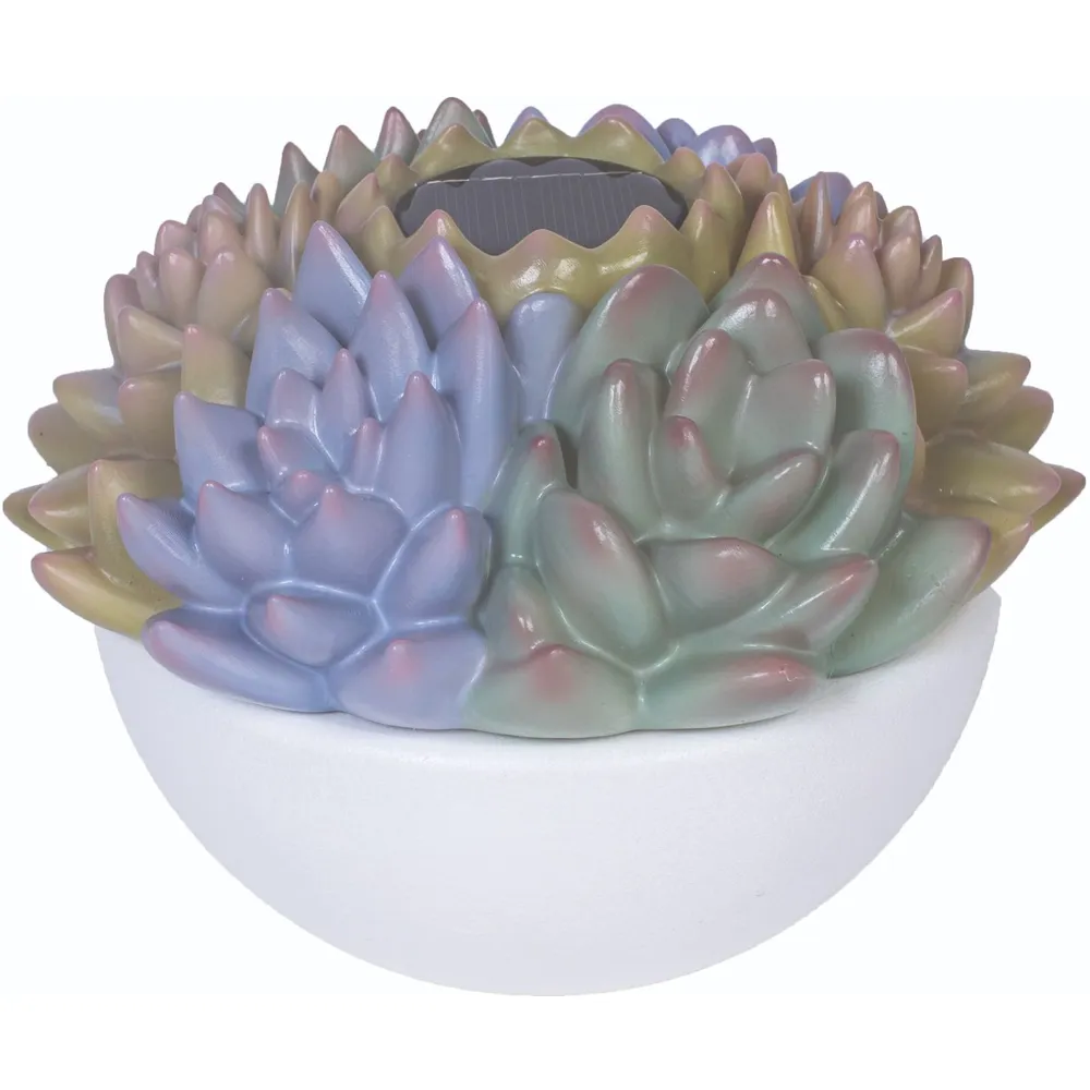 PatioGlo 7″ Garden Succulent