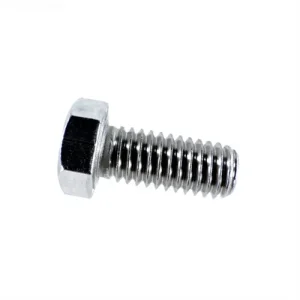 Pentair 070429Z Whisperflo Seal Plate Bolt