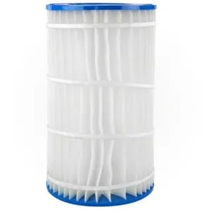 Pentair 196039 60 GPM EasyClean Replacement Cartridge