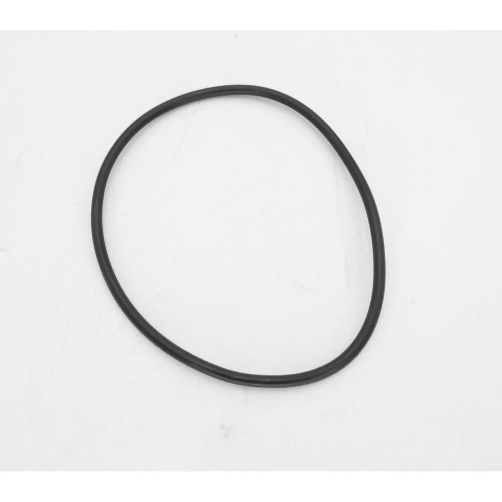 Pentair 2″ CCP FNSP Upper Bulkhead O-Ring 192320