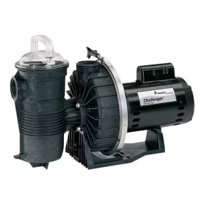 Pentair 345213 Challenger Energy Efficient Pool Pump 3/4 HP