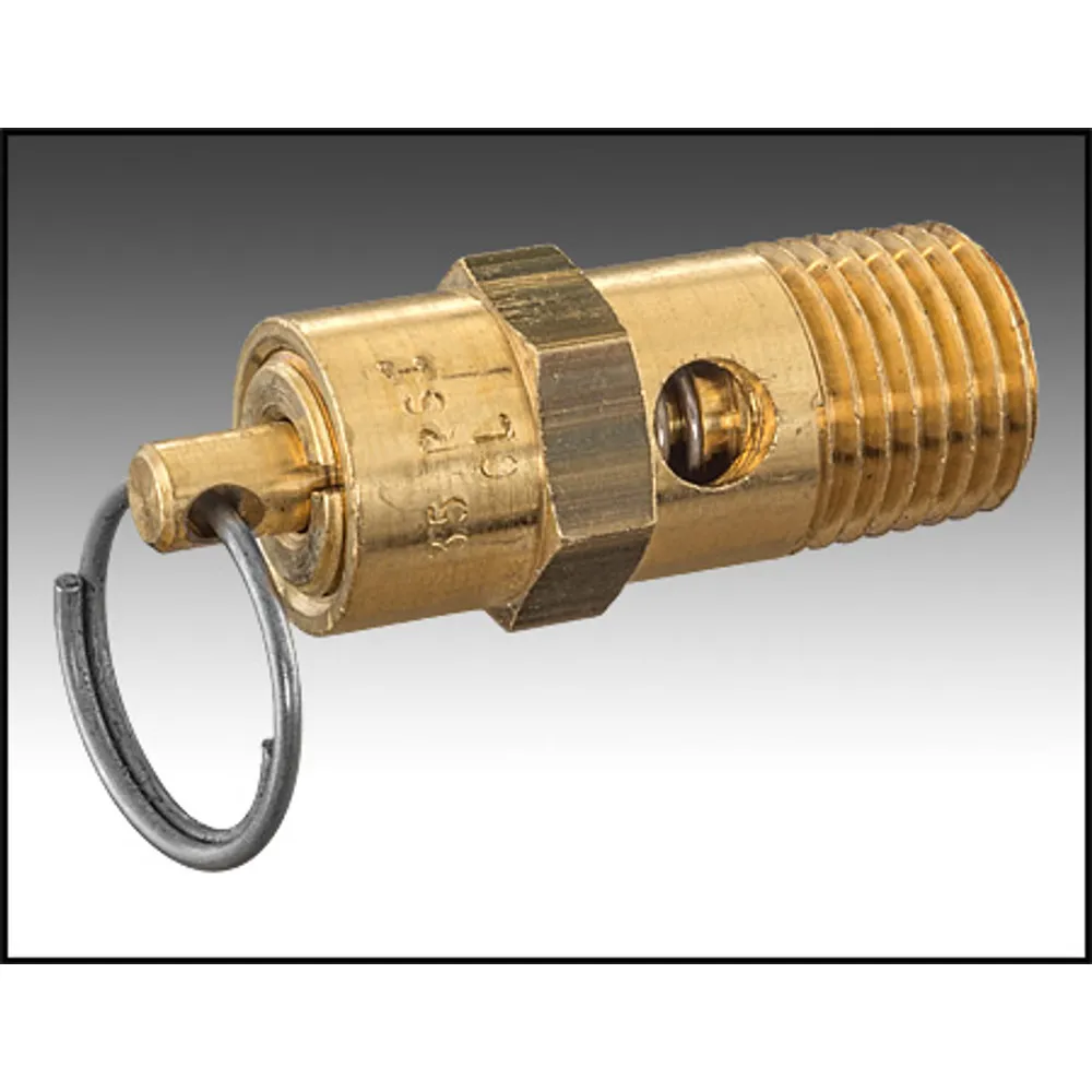 PENTAIR 350087 EQ PRESSURE RELIEF