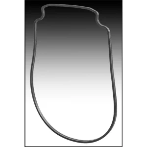 PENTAIR 357100 GASKET SEAL PLATE WFE PUMP (AFTER 2/1/08)GENERIC
