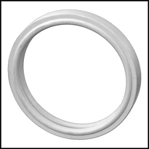 Pentair/American AquaLight Pool Light Gasket (#79108600)