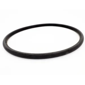 Pentair Cap O-Ring 343 for Model 320 & 322 In-Line Chemical Feeder R172009Z