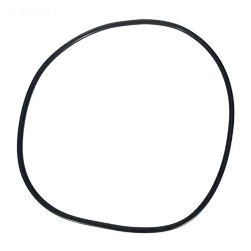 Pentair Clean & Clear Plus Filter Tank O-Ring 39010200
