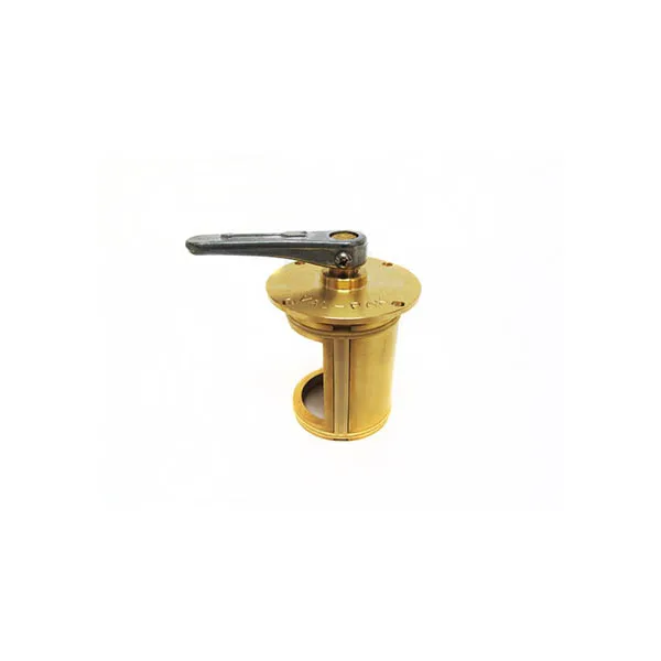 Pentair Diverter Cap & Handle 2″ – Brass V20-091 72431