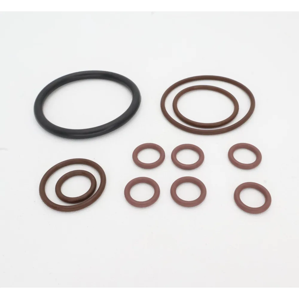 Pentair Feed Line O-Ring Kit for Racer Cleaner 360268