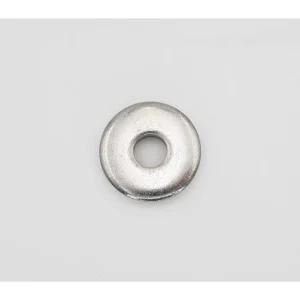 Pentair Filter Clamp Washer, Small 195610