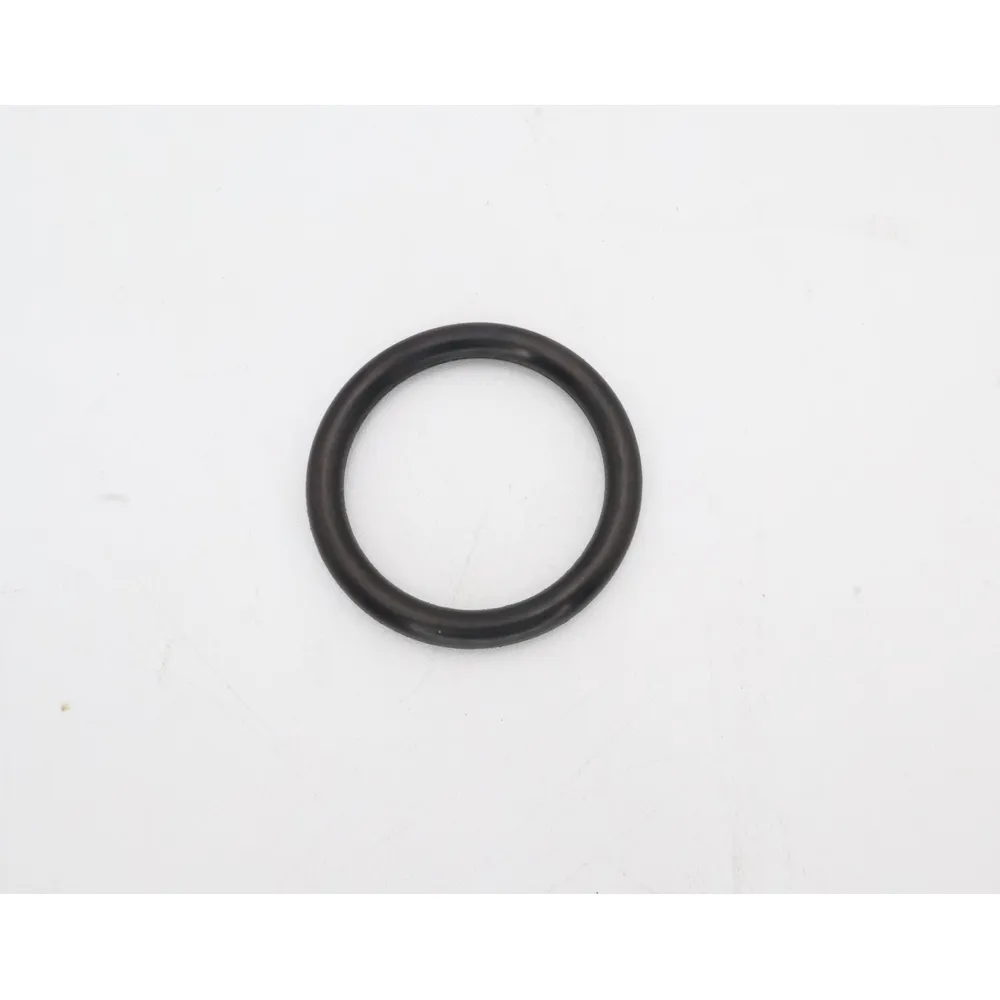 Pentair Filter Drain Cap O-Ring 51005000Z