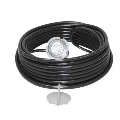Pentair GloBrite Led Pool Light 602054 50FT Cord 12V