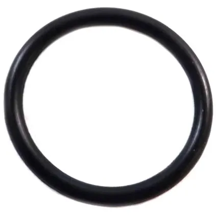 Pentair Knob O-Ring V38-153S 57006700