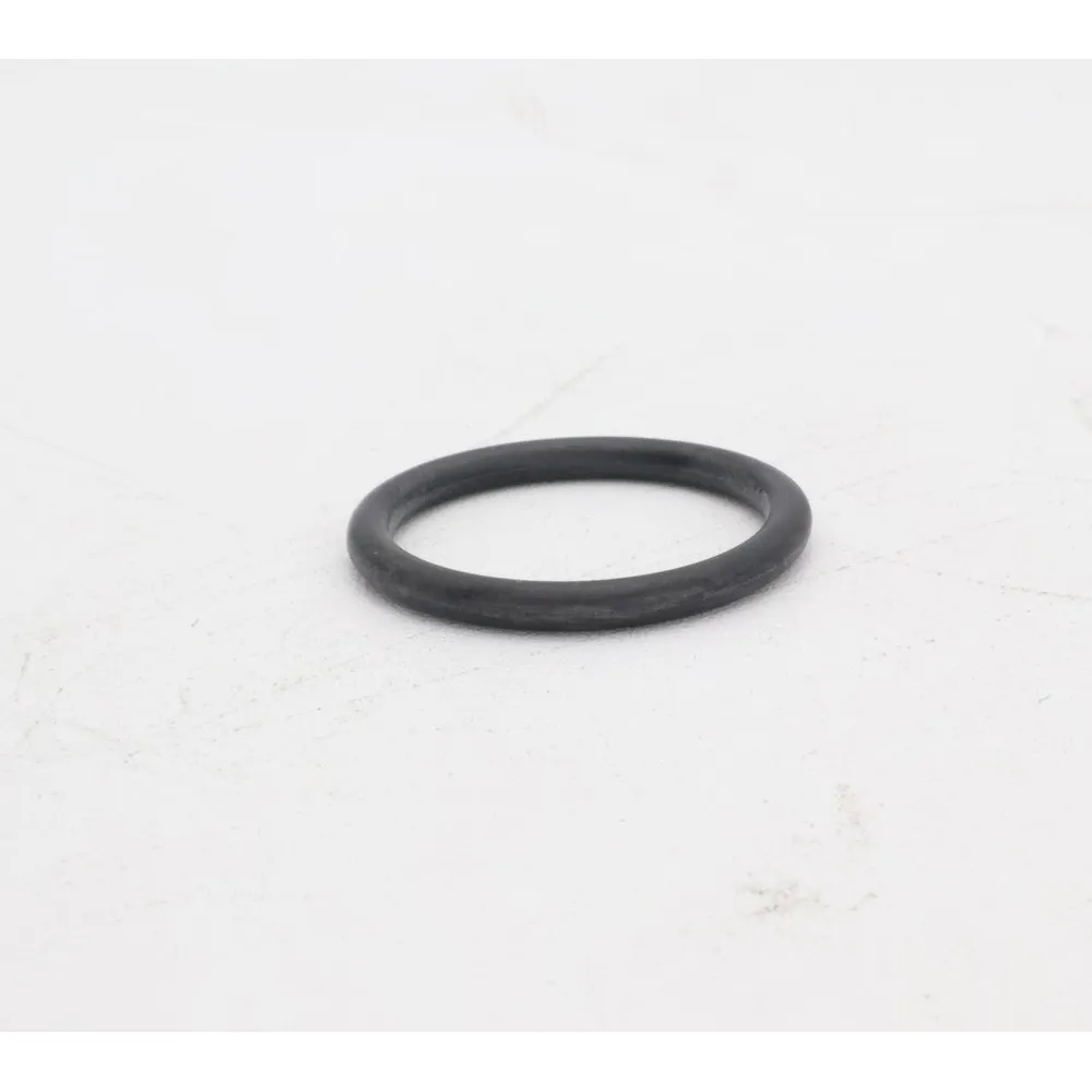 Pentair O-Ring for Feed Mast LLU7/LXU7 EU7