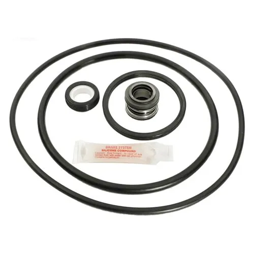 Pentair/Pac Fab Pinnacle Pump Tune Up Kit (GOKIT24)