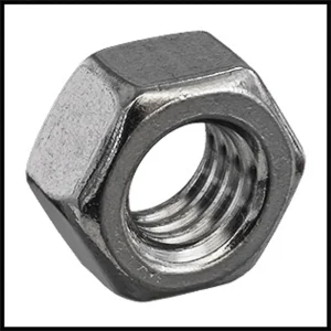 Pentair/PacFab 5/16″ Stainless Steel Bulkhead Nut For Nautilus Plus Filters (#192013)