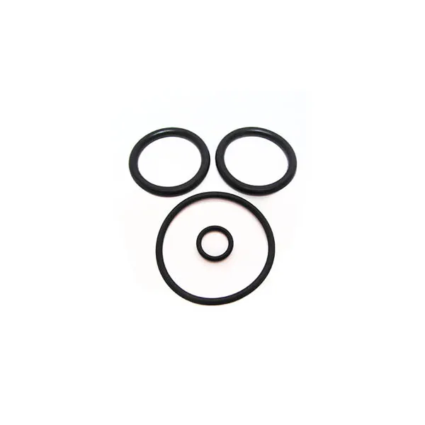 Pentair PacFab Piston ORing Set 2 Inch Plastic V36186