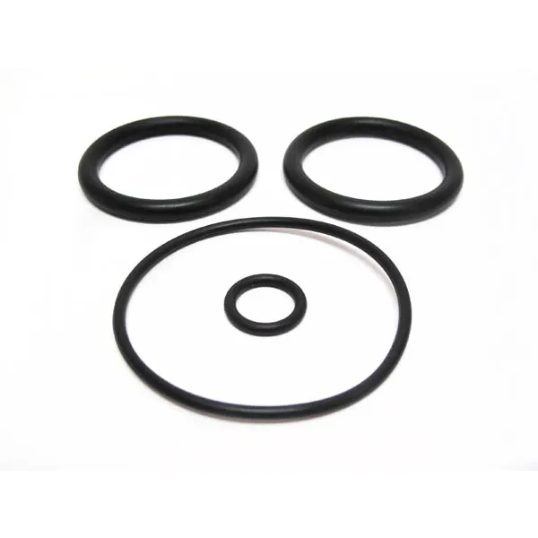 Pentair Plastic Piston ORing Set 2 Inch V38121