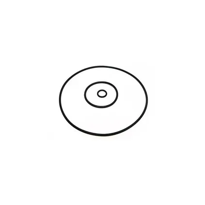 Pentair/Purex Noryl Rotor O-Ring Kit V20-353S