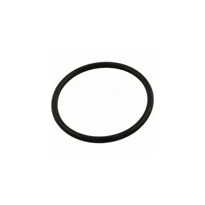 Pentair/Purex Whisperflo Pump Lid O-Ring N/S V20-389S