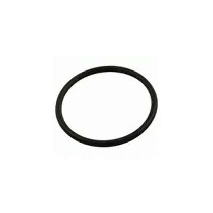 Pentair Repl. Valve Stem O-Ring V38-156S